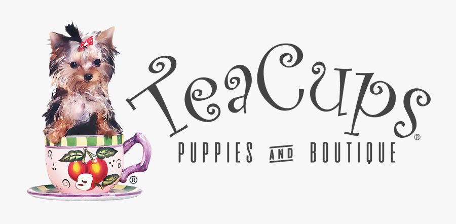 Download Svg Transparent Stock Yorkie Clipart Teacup Yorkie Buffet Infantil Free Transparent Clipart Clipartkey