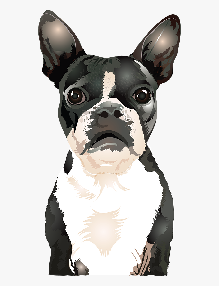 Vector Boston Terrier - Boston Terrier Terrier Dog Vector, Transparent Clipart