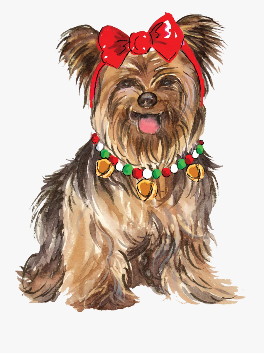 Yorkshire Terrier, Transparent Clipart