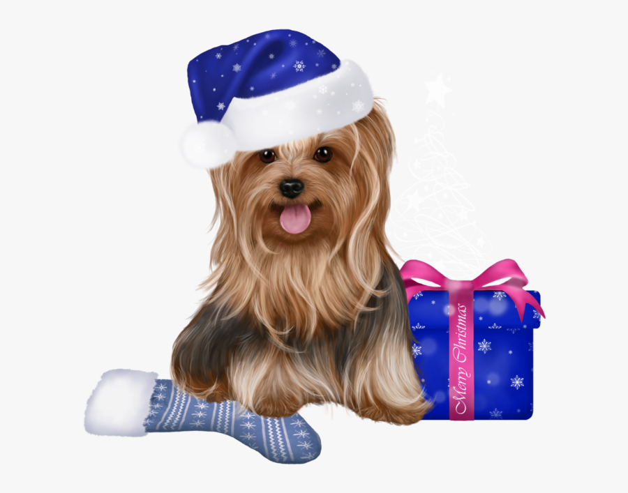 Dog Yorkshire Png, Transparent Clipart