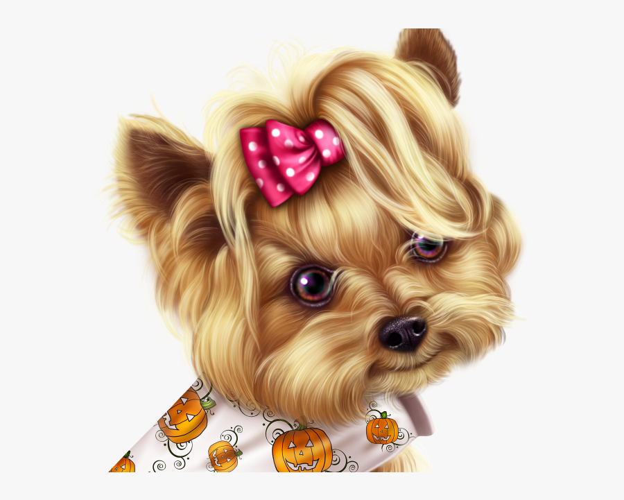 Yorkshire Terrier, Transparent Clipart