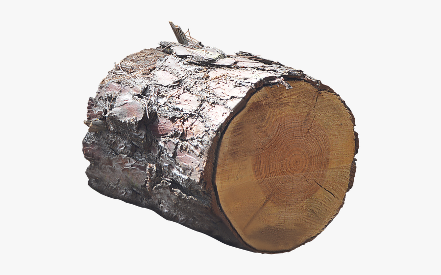 Pgn Image 1000 Free Png Vector Images Pixabay - Wood Trunk Png, Transparent Clipart