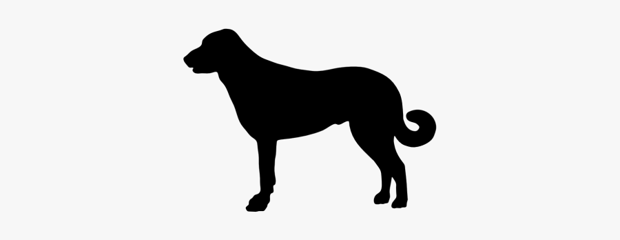 Golden Retriever Clipart Silhouette - Anatolian Shepherd Dog Silhouette, Transparent Clipart
