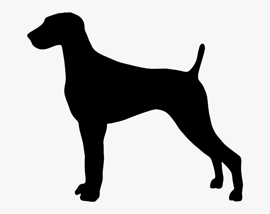 Gsp Silhouette At Getdrawings - Terrier Jack Russel Dog Silhouette, Transparent Clipart