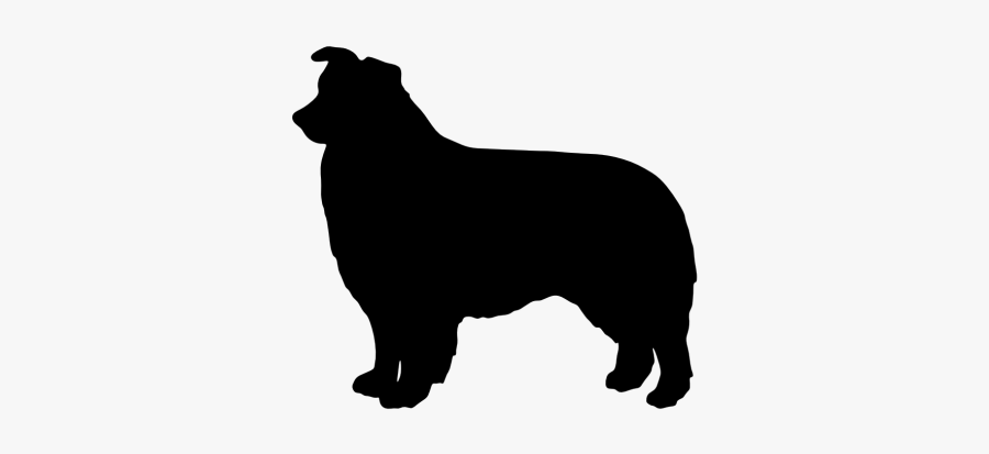Australian Cattle Dog Silhouette At Getdrawings - Australian Shepherd Silhouette Png, Transparent Clipart