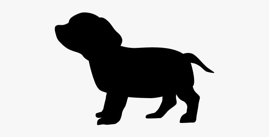 Boston Terrier Silhouette No Background, Transparent Clipart