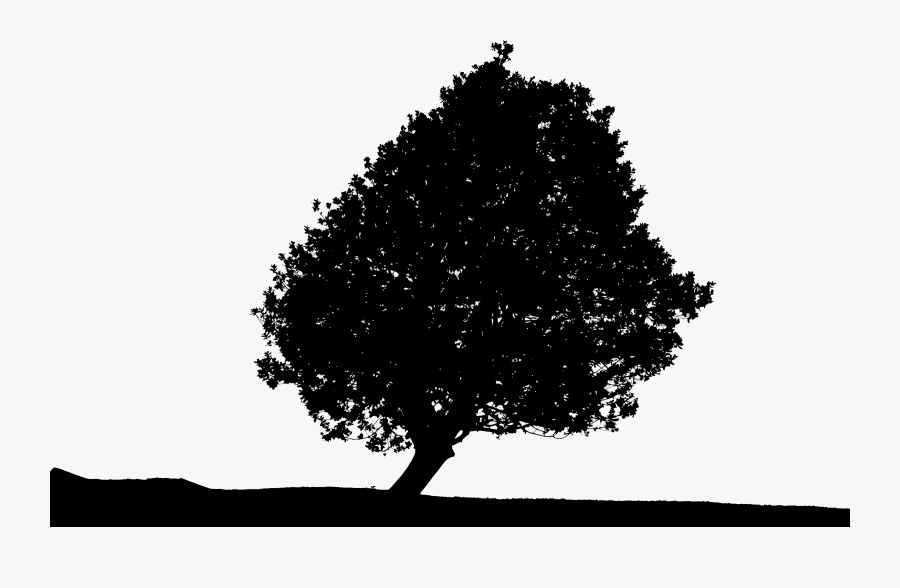 Photography - Lonely Tree Png, Transparent Clipart