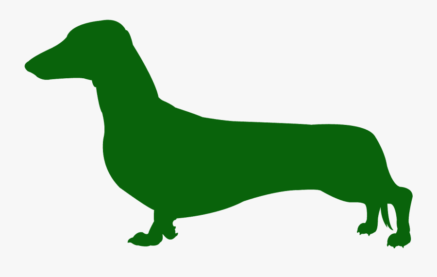 Companion Dog, Transparent Clipart