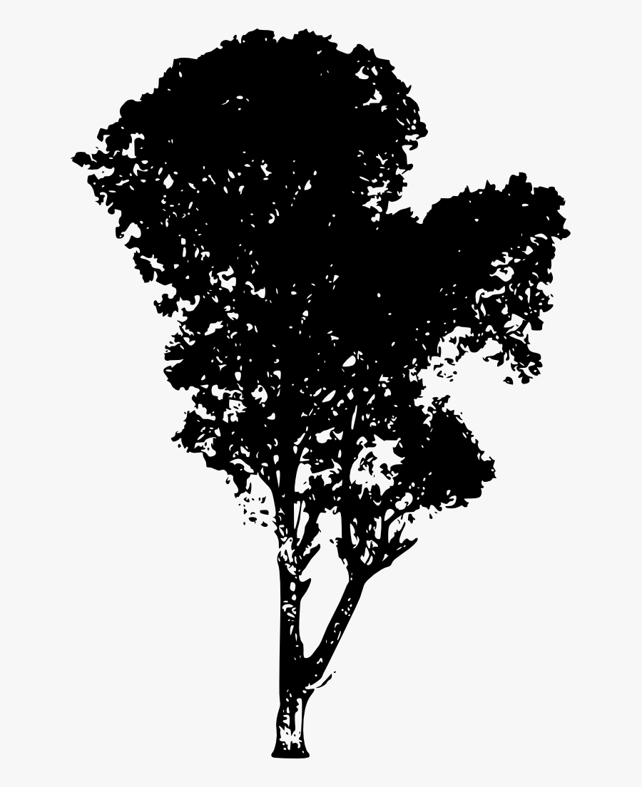 10 Tree Silhouettes - Transparent Background Tree Silhouette Png, Transparent Clipart