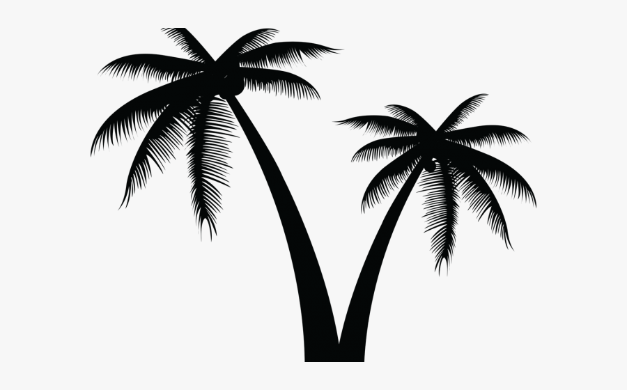 Transparent Coconut Tree Clipart - Vector Palm Tree Png, Transparent Clipart