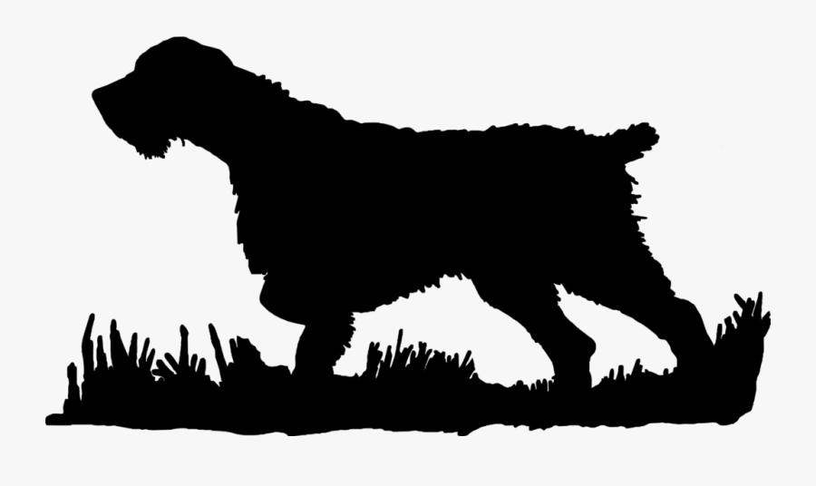 Wirehair Silhouette Bird Upland - German Wirehaired Pointer Silhouette, Transparent Clipart