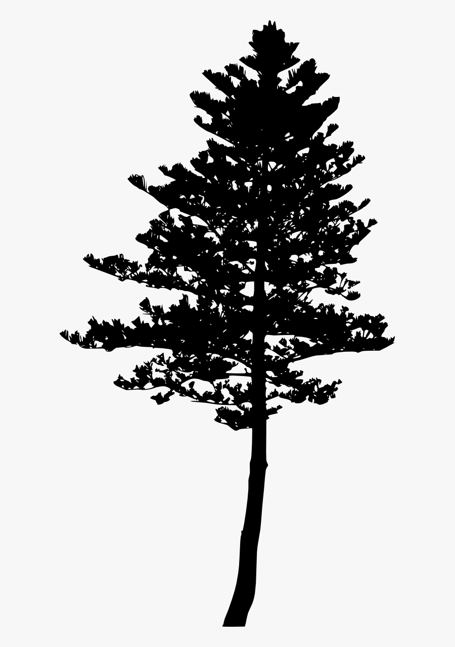 Tree Silhouette Pine Tree Png Free, Transparent Clipart