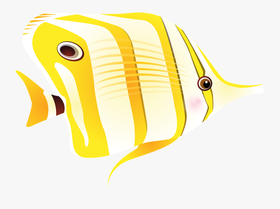 Tropical Fish With Long Nose, Transparent Clipart