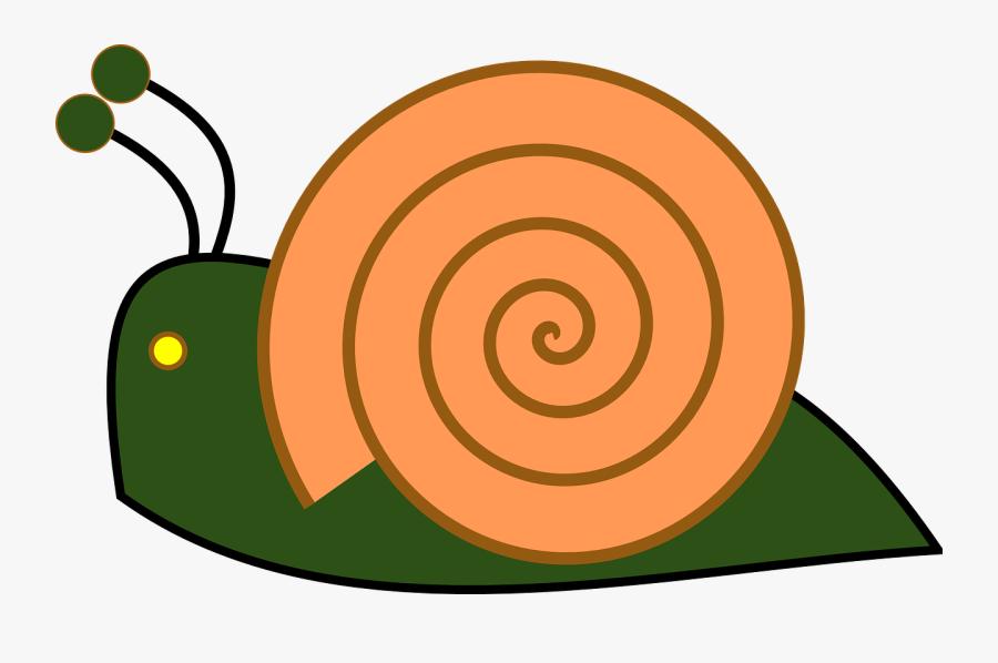 Caracol Clipart, Transparent Clipart