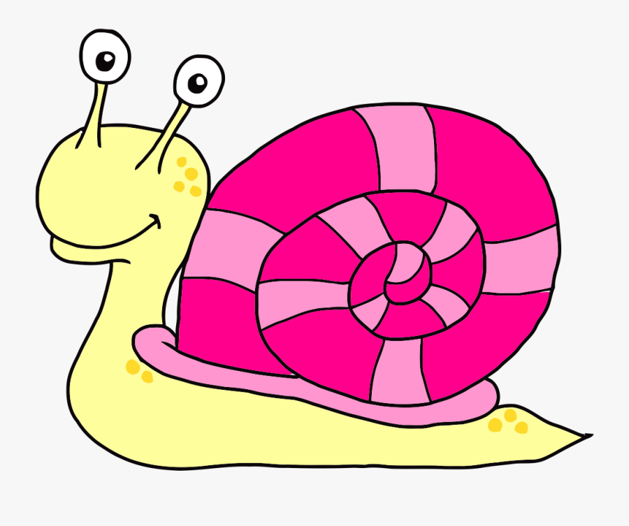 คลิป อาร์ต หอย, Transparent Clipart