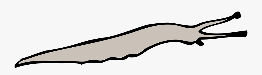 Limace Clip Arts - Limace Clipart, Transparent Clipart