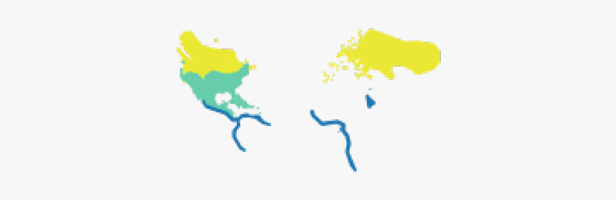 Graphic Design, Transparent Clipart