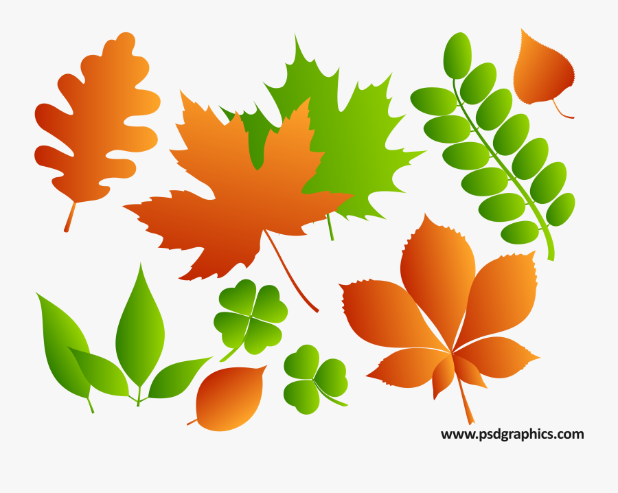 Clip Art Year Ai Png Psdgraphics - Different Size Leaves Png, Transparent Clipart