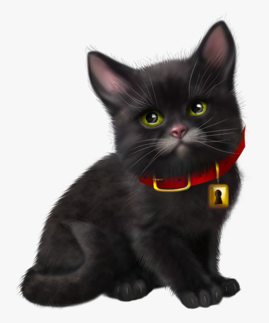 Cat, Transparent Clipart