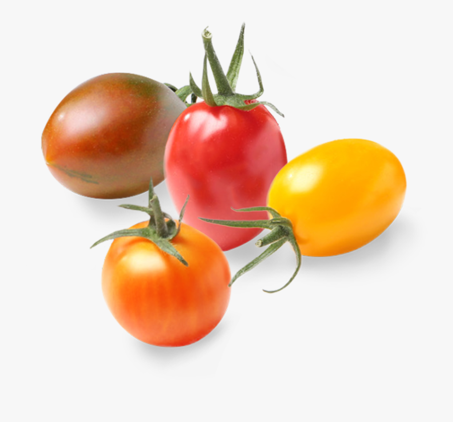 Plum Tomato, Transparent Clipart