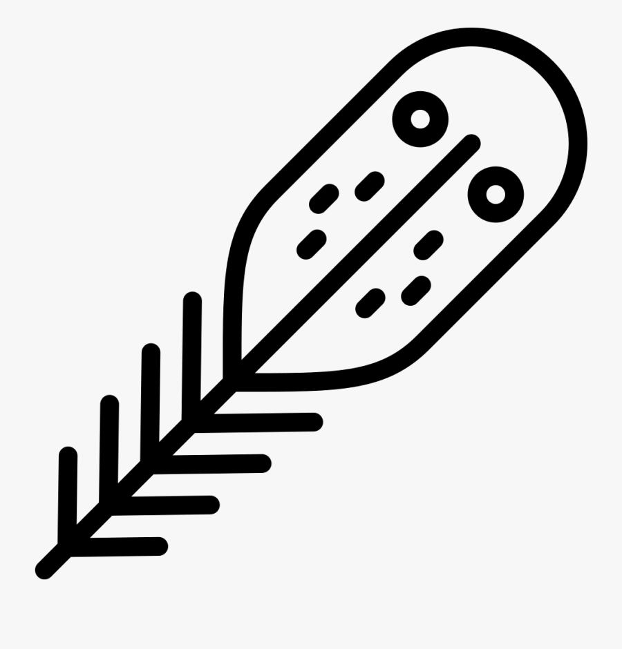 Line Art, Transparent Clipart