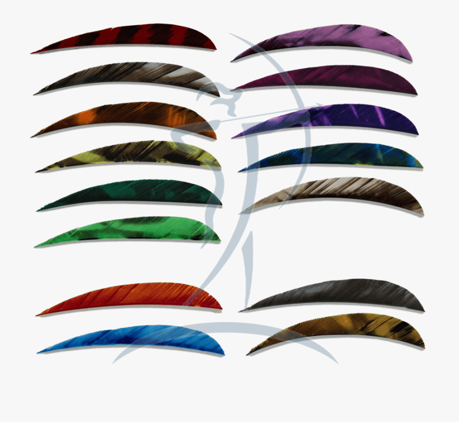 Ozark Feathers - Earrings, Transparent Clipart