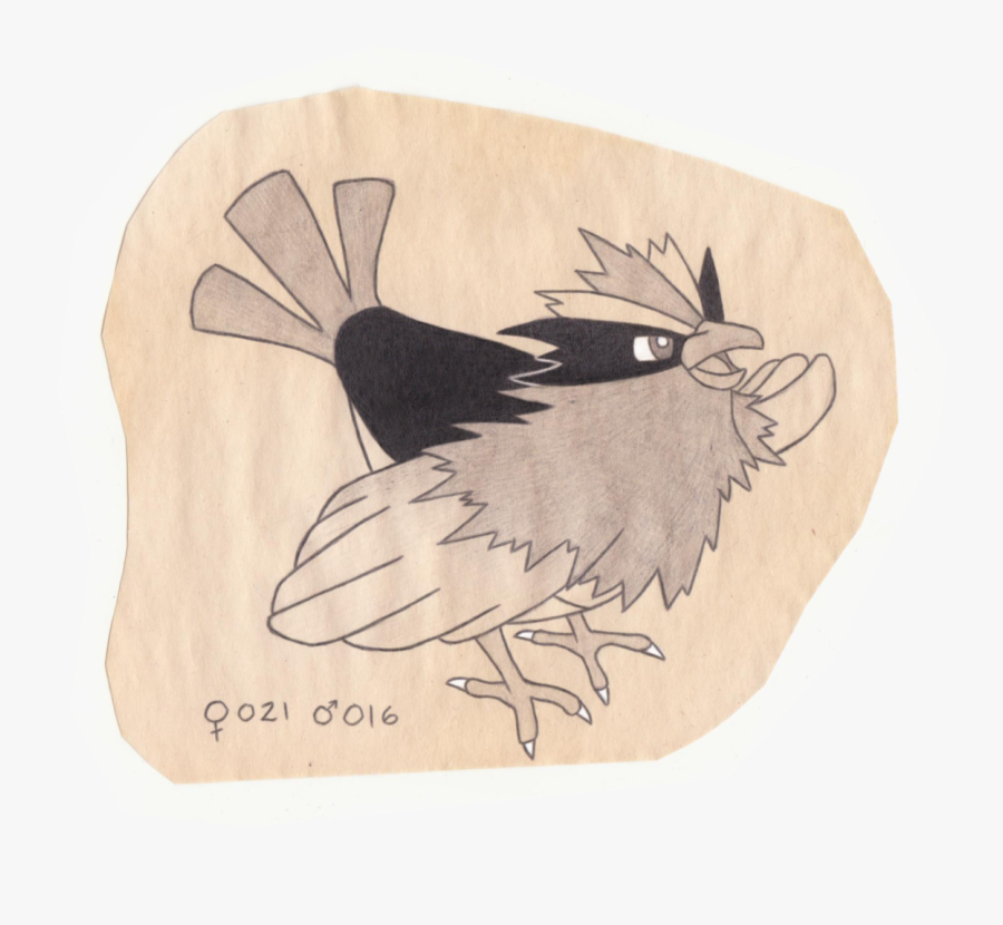 Tiny Bird Pokemon - Illustration, Transparent Clipart
