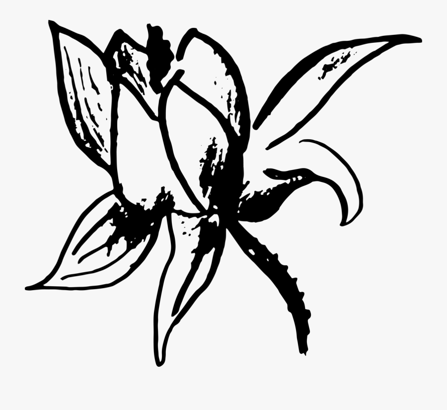 Illustration, Transparent Clipart