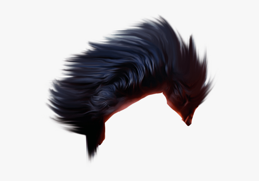 Best Hair Hd Png Download, Transparent Clipart