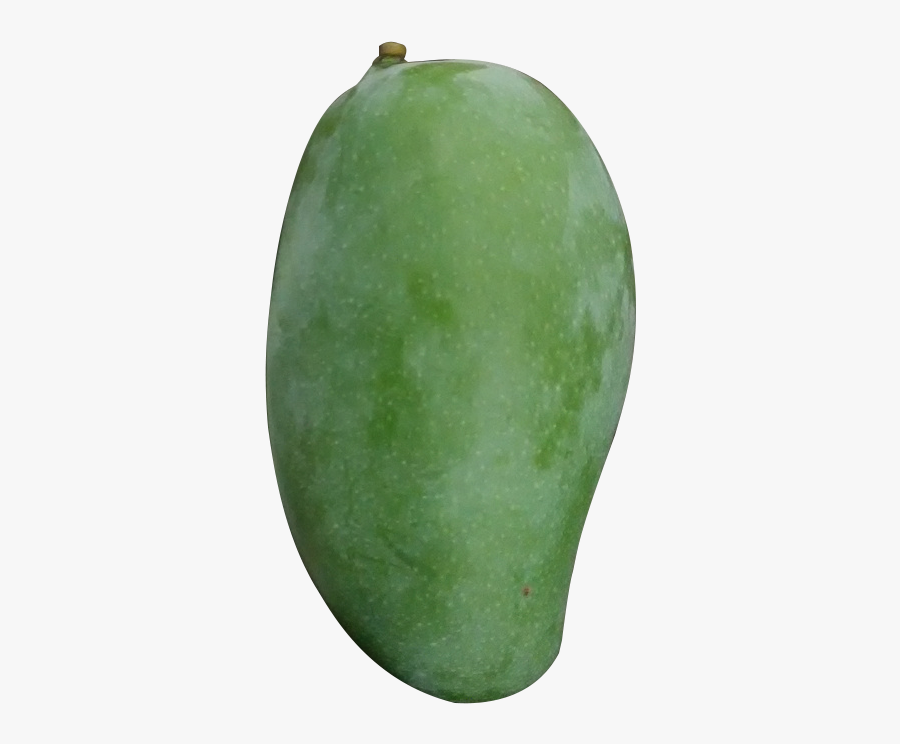 Green Mango Clip Art, Transparent Clipart