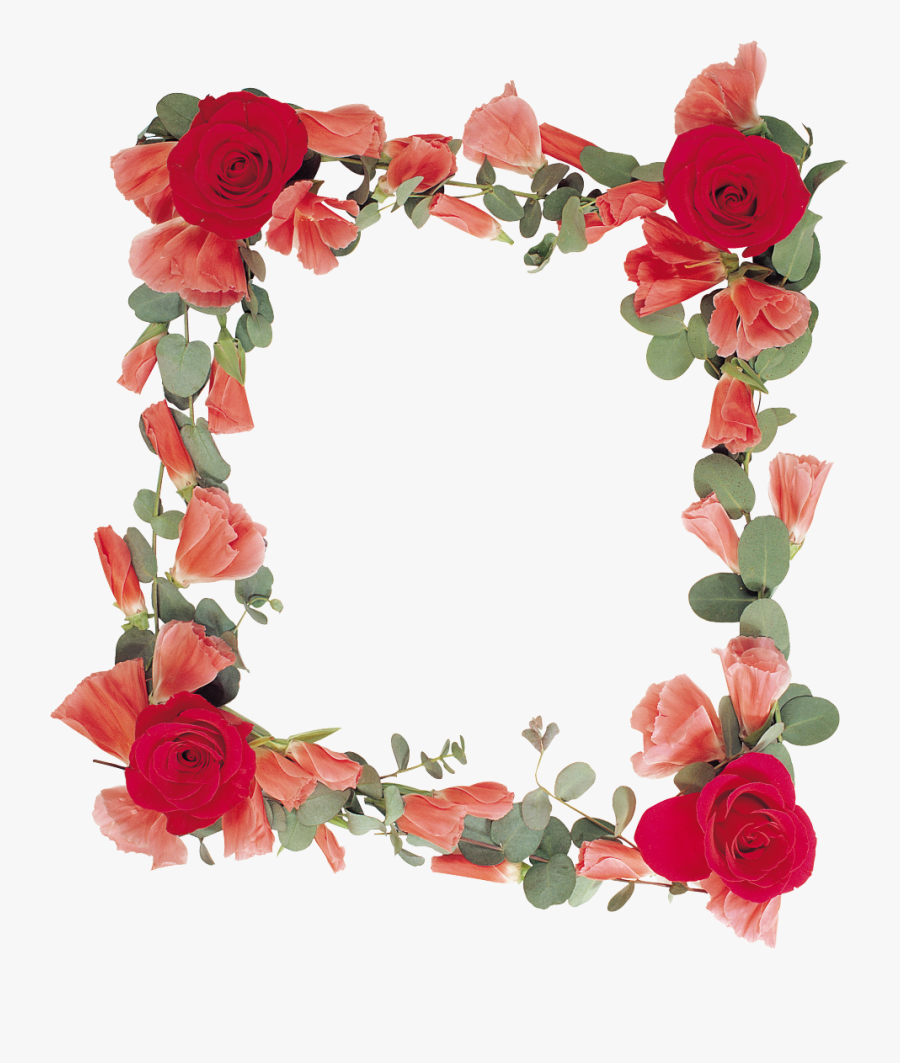 Clip Art Garden Roses Picture Border - Рамка С Розами Png, Transparent Clipart