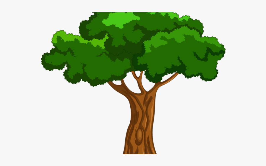 Tree Clipart, Transparent Clipart
