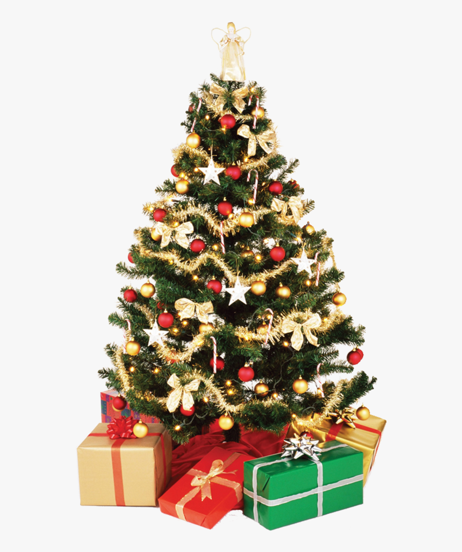 High Resolution Christmas Tree, Transparent Clipart