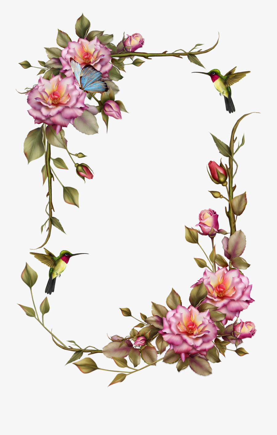 Roses And Humming Bird Frame By Collect And Creat-d6a4rod - Happy Birthday Frame Flowers, Transparent Clipart