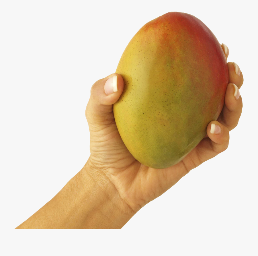 Mango In Hand Png Image - If Your Man Isn T Treating You Right, Transparent Clipart