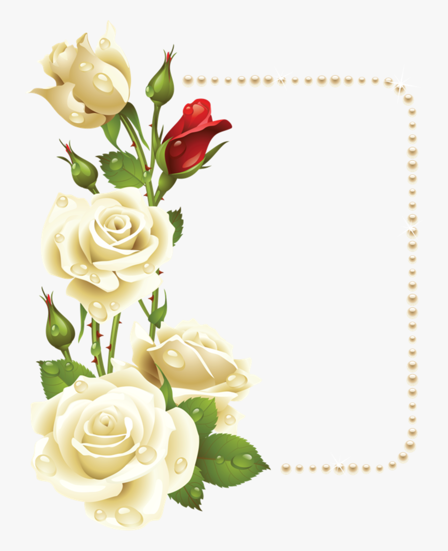 - Images Album - White Roses Corner Border, Transparent Clipart