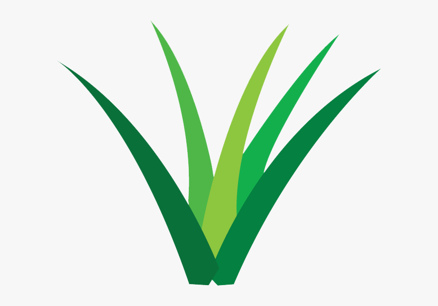 Food Grass Clipart, Transparent Clipart