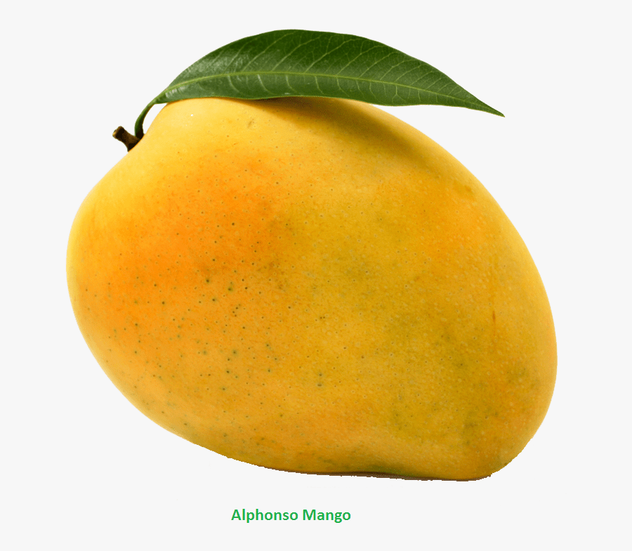 Thumb Image - Mango Png, Transparent Clipart