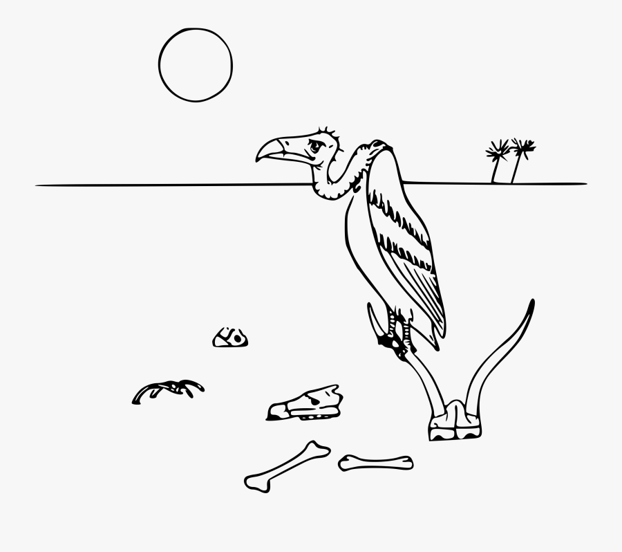 Png Free Stock Students Drawing Ecosystem - Black And White Desert Animal Clipart, Transparent Clipart