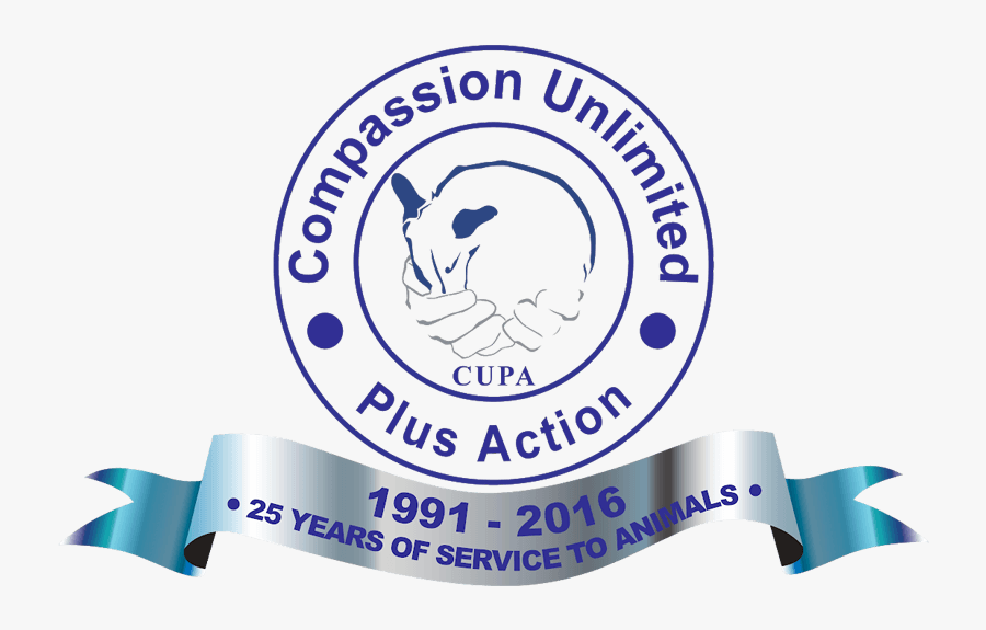 Animal, Transparent Clipart