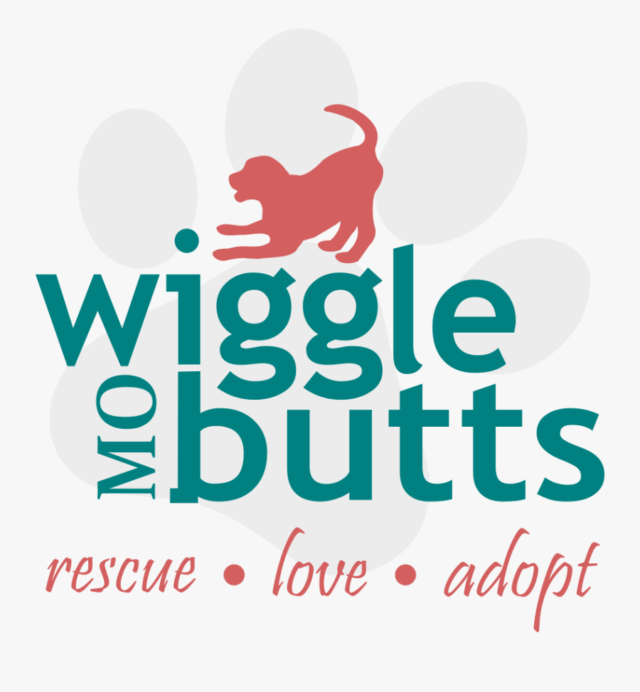 Design With Vinyl In Everything Give Thanks Wall Decal - Graphic Design, Transparent Clipart