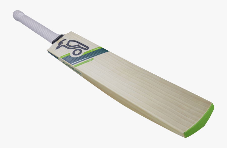 76679 - Cricket, Transparent Clipart