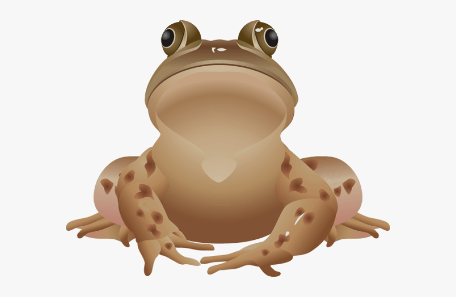 Transparent Frogs Clipart - Clipart Of A Brown Frog, Transparent Clipart