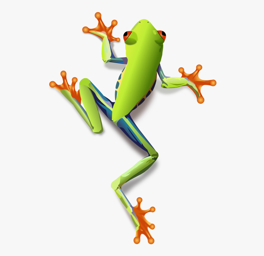 Tree Frog Clipart - Red Eyed Tree Frog Clipart, Transparent Clipart