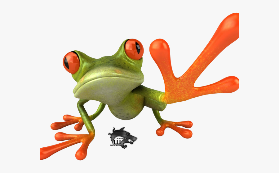 Tree Frog Clipart - Tree Frog Png, Transparent Clipart