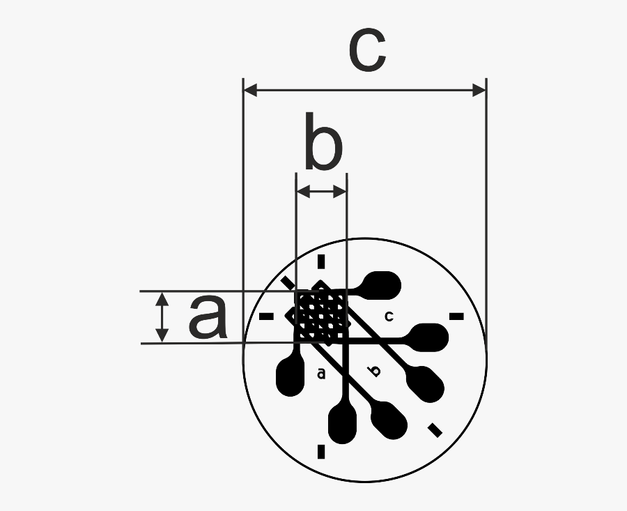 Circle, Transparent Clipart