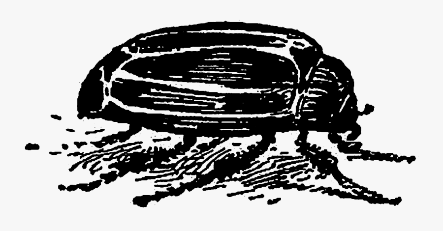 Illustration, Transparent Clipart