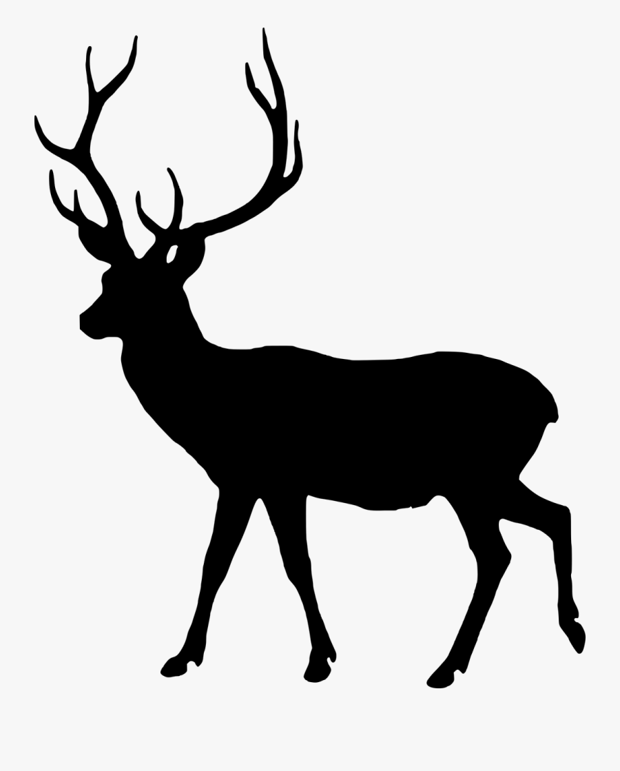 Silhouette Fallow Deer Dama Dama Free Picture - Lesson Of The Kaibab Graph, Transparent Clipart