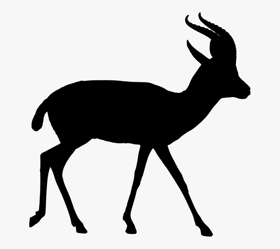 Silhouette Animals In Africa Clipart, Transparent Clipart