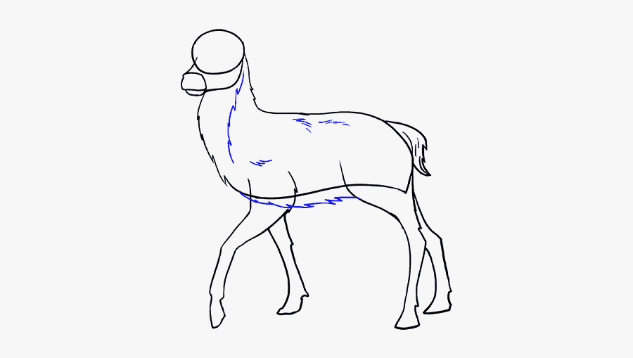 How To Draw Deer - Camelid, Transparent Clipart
